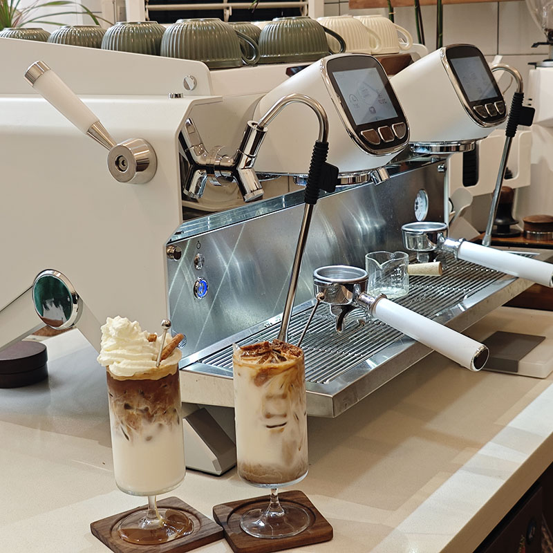 Semi-automatische professionel - Coffee Tea Espresso Machines recensie en prijs