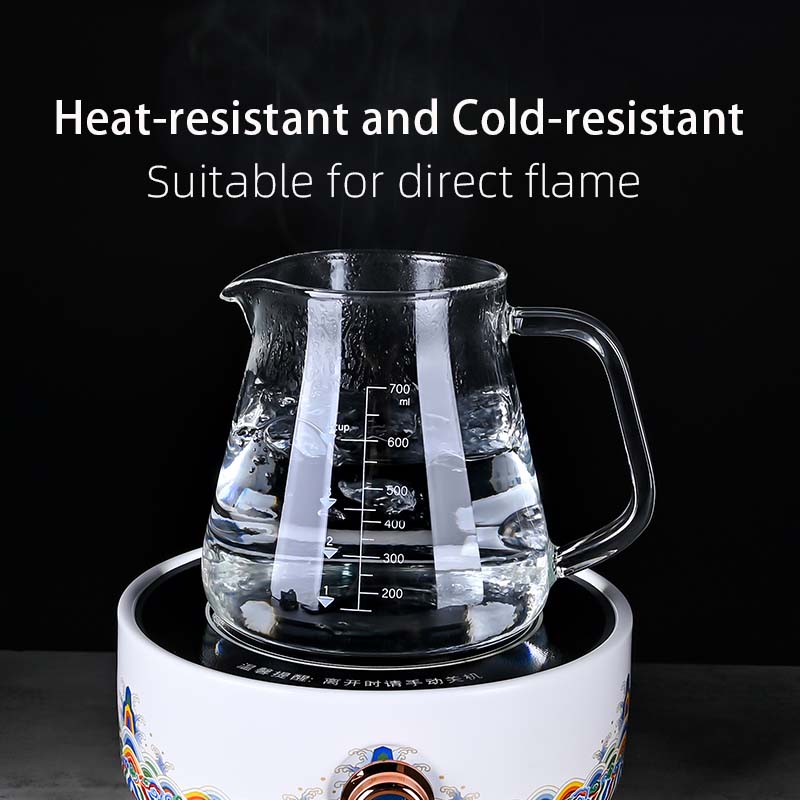 Nieuwe hoge borosilicaatglas v - Xbloom Coffee Tea recensie en prijs